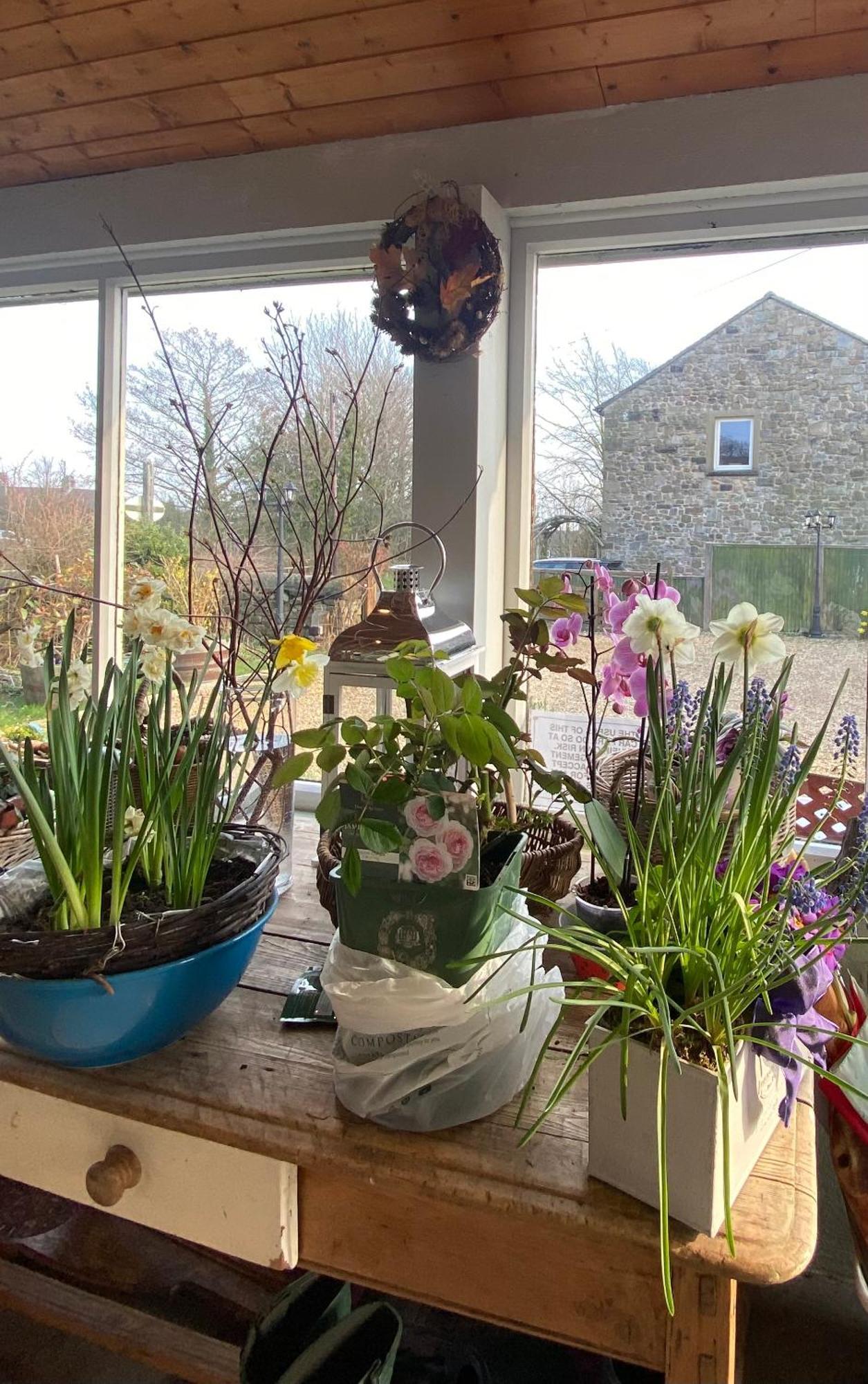 Chapel Cottage Clitheroe Road ワディントン エクステリア 写真